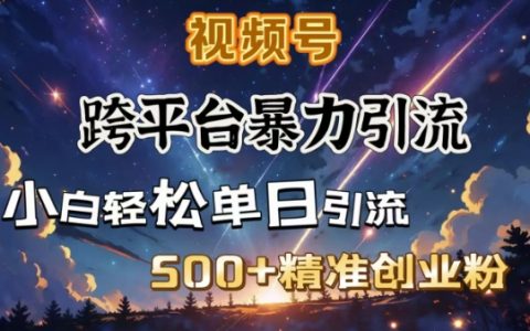 跨平臺高效引流技巧，構建私域流量閉環，每日吸引500+精準創業粉絲（實戰經驗分享）