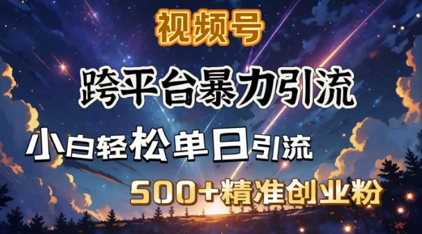 跨平臺暴力引流，私域完美閉環，日引500+精準創業粉