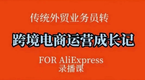 跨境電商速賣通運營課，?運營方法論+后臺實操，邏輯清晰