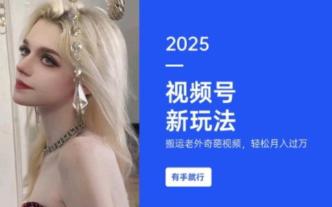 老外奇葩視頻搬運教程，短視頻號運營技巧，每天1小時操作，輕松實現月入過萬