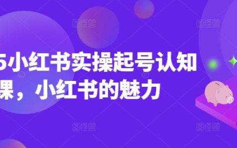 2025年小紅書運營實戰入門課：掌握小紅書魅力，輕松打造個人品牌