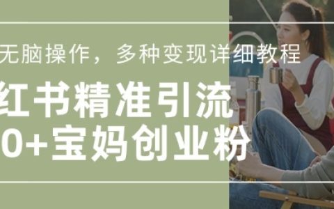 寶媽創業必看！小紅書混剪日引200+粉絲教程，輕松實現流量變現
