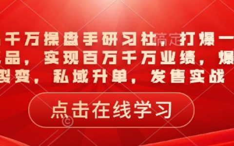 一品千萬操盤手實戰課程：打造爆款引流品，輕松實現百萬千萬業績
