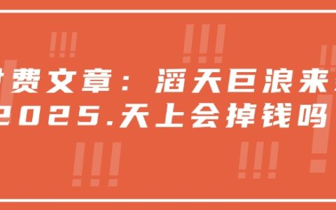 2025年財富機(jī)遇：天上真的會掉錢嗎？揭秘未來賺錢趨勢