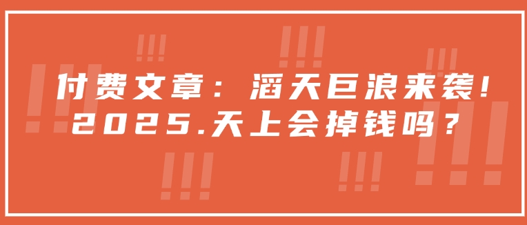 付費(fèi)文章：滔天巨浪來襲！2025天上會掉錢嗎？