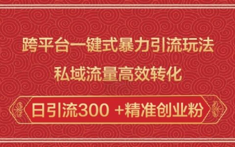 多平臺暴力引流技巧：私域流量高效轉(zhuǎn)化，輕松實(shí)現(xiàn)日引流300精準(zhǔn)創(chuàng)業(yè)粉