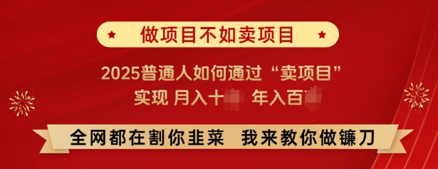 必看，做項目不如賣項目，2025普通人如何通過“賣項目”實現月入十個，年入百個