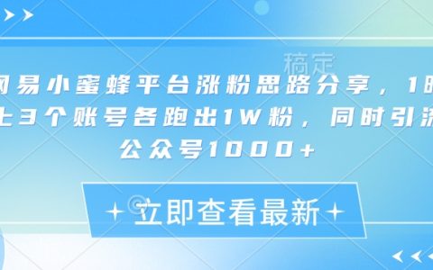 如何利用網(wǎng)易小蜜蜂平臺(tái)快速漲粉？揭秘一夜增加3個(gè)10K粉絲賬號(hào)及公眾號(hào)1000+關(guān)注的技巧