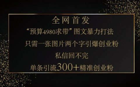 揭秘小紅書圖片引流秘籍：一張神奇圖片助力筆記輕松實現300+精準創業粉絲引流