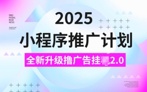2025小程序推廣攻略，揭秘廣告聯盟新玩法，日均收益5單實戰分享