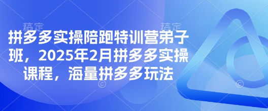 拼多多實操陪跑特訓營弟子班，2025年2月拼多多實操課程，海量拼多多玩法