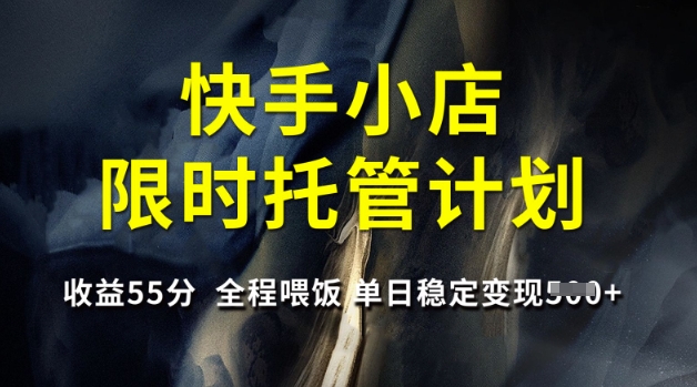 快手小店限時托管計劃，收益55分，全程喂飯，單日穩(wěn)定變現(xiàn)5張【揭秘】