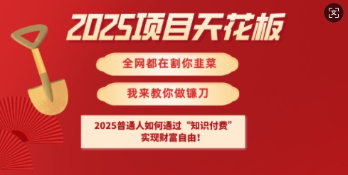 2025項目天花板普通人如何通過知識付費，實現財F自由【揭秘】