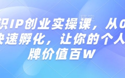 知識IP創(chuàng)業(yè)實戰(zhàn)教程：從零開始快速孵化個人品牌，實現(xiàn)百W價值提升指南