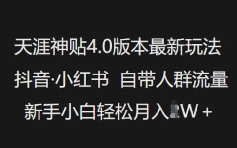 天涯神貼4.0新版攻略，抖音小紅書引流技巧，新手小白每月輕松收入過萬