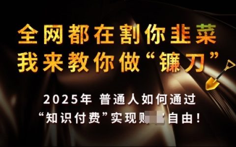 2025年實現知識付費月收入過萬，手把手教你成為行業頂尖高手【深度解析】
