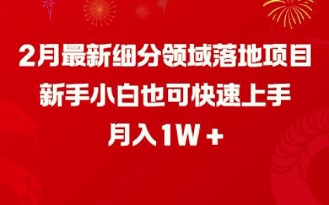 2月最新細分領域實戰項目，新手小白快速入門，月收入破萬指南