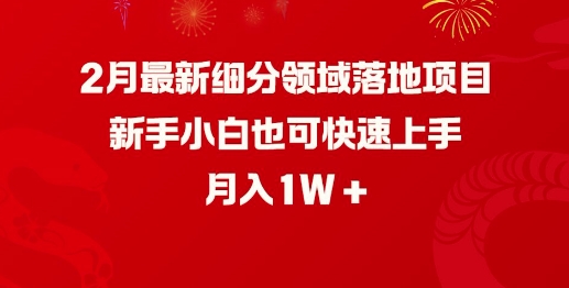 2月最新細分領域落地項目，新手小白也可快速上手，月入1W