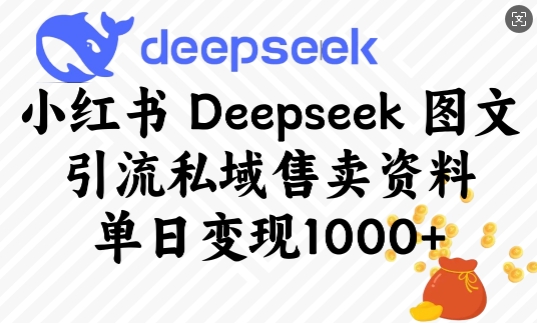小紅書Deepseek圖文引流私域售賣資料，單日變現(xiàn)多張