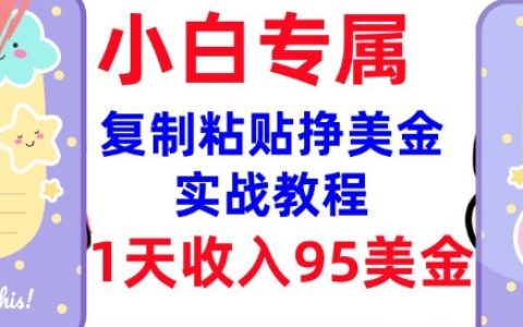 零門檻復制粘貼賺美金，揭秘內部教程，1天收入高達95美元，3分鐘快速掌握新技能