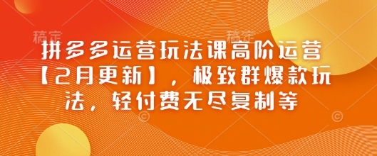 拼多多運營玩法課高階運營【2月更新】，極致群爆款玩法，輕付費無盡復(fù)制等