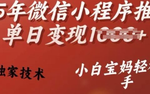 2025年最新微信小程序推廣技巧，日入過百不是夢，獨家秘籍助力小白寶媽輕松盈利