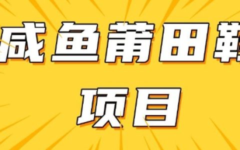 提升閑魚轉化率的高收益項目，手把手教學日入300+，附詳細教程+貨源指南
