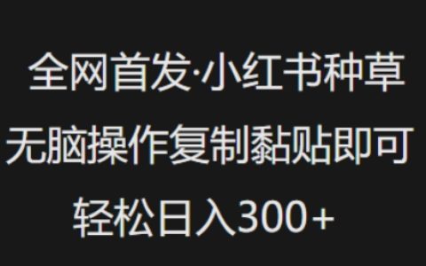 全網獨家發布：小紅書種草技巧大公開，一鍵復制粘貼操作，日入多單輕松實現