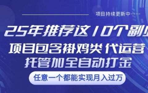 2025年推薦的10個熱門副業項目：涵蓋褂雞類、代運營托管類、全自動打金類【全面揭秘】