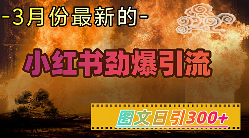 小紅書超勁爆引流手段，圖文日引300+輕松變現(xiàn)1W