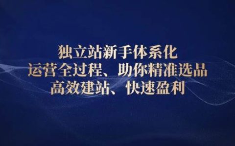 獨(dú)立站新手入門(mén)體系化運(yùn)營(yíng)教程，精準(zhǔn)選品×高效建站×全域流量×盈利模型全流程拆解