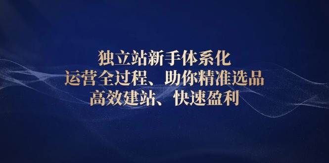 獨立站新手入門體系化運營教程，精準選品×高效建站×全域流量×盈利模型全流程拆解