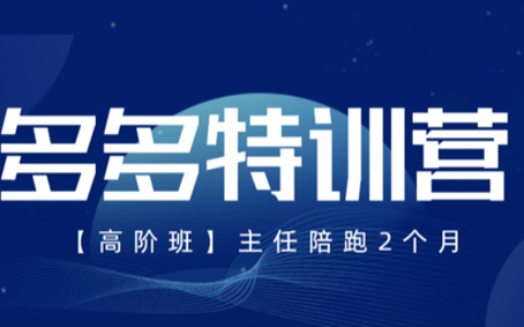 2025發(fā)寶電商紀(jì)主任多多特訓(xùn)營高階班