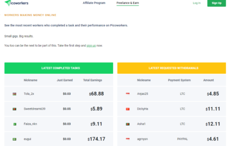 國外小項目，簡單小項目賺美金，1個任務(wù)10秒，讓你輕松賺美金，2025副業(yè)輕松賺錢