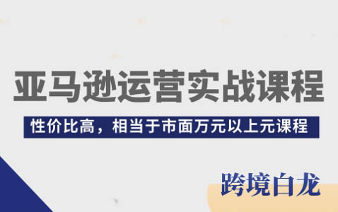 白龍亞馬遜跨境實操課，入門到實操精品課（22講詳解）