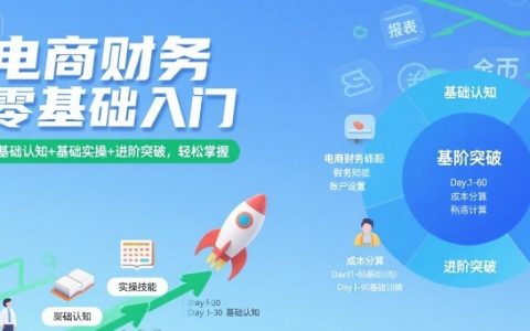 電商財務零基礎入門，基礎認知+基礎實操+進階突破，輕松掌握