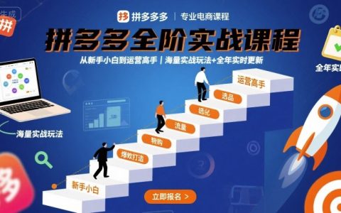 拼多多全階實戰(zhàn)課程，從新手小白到運營高手，海量實戰(zhàn)玩法+全年實時更新【2025年9月更新】