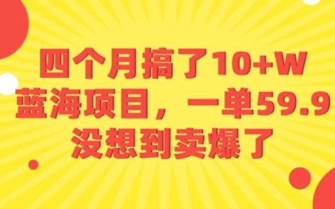 四個月搞了10+W的藍海項目，一單59.9米，沒想到賣爆了