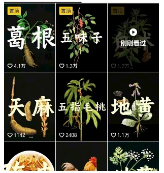 抖音中草藥賽道，用AI做中草藥故事視頻，45條作品漲粉13W，櫥窗帶貨猛猛出單