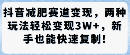 抖音減肥賽道變現，兩種玩法輕松變現3W+，新手也能快速復制
