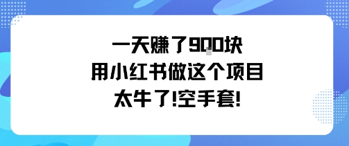 一天掙了9張用小紅書做這個項目太牛了，空手套