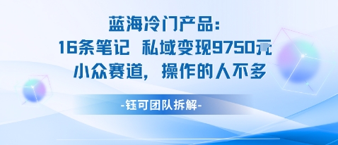 藍(lán)海項目：16條筆記私域變現(xiàn)9750米小眾賽道操作的人不多
