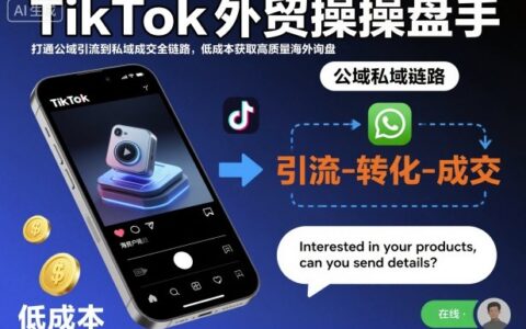 TikTok外貿(mào)操盤手，打通公域引流到私域成交全鏈路，低成本獲取高質(zhì)量海外詢盤