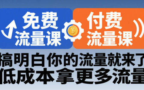 拼多多免費(fèi)流量課+付費(fèi)流量課，搞明白你的流量就來了，低成本拿更多流量
