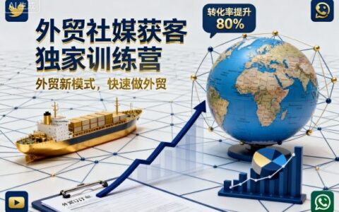 外貿社媒獲客獨家訓練營，外貿新模式，快速做外貿（更新）