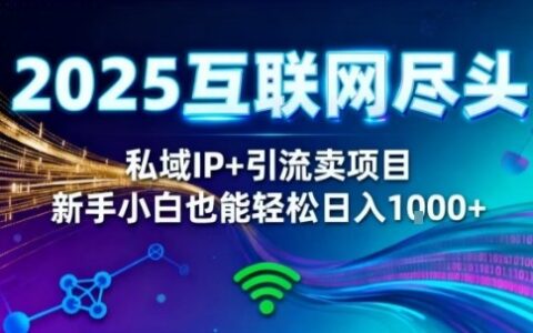 2025網創盡頭王炸項目！私域IP+精準引流，新手小白在家躺賺日入1k，零經驗也能上手【揭秘】