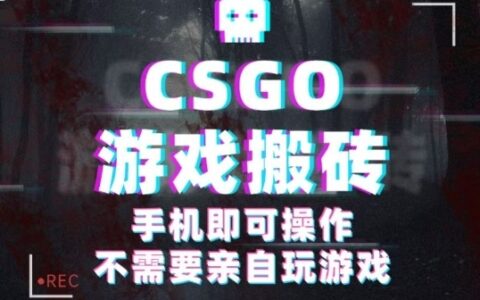 CSGO游戲掛G撿漏，單日掃貨5張+，年底小高峰上車可吃肉，手機即可操作，兼職副業創業網創【揭秘】