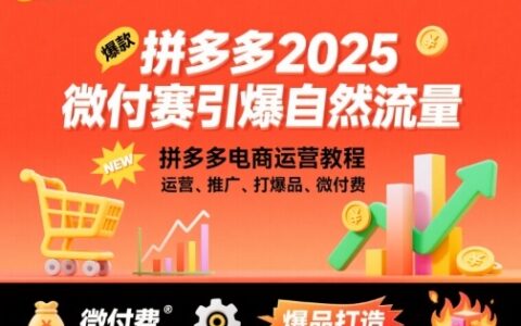 拼多多2025微付費引爆自然流量，拼多多電商運營教程，運營、推廣、打爆品、微付費（更新）