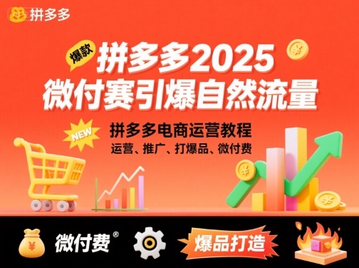 拼多多2025微付費引爆自然流量,拼多多電商運營教程,運營、推廣、打爆品、微付費(更新)
