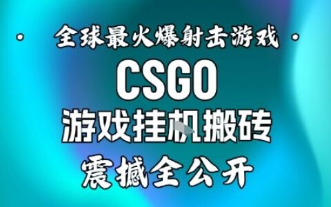 【年底大揭秘】基于全球最火爆的射擊CSGO游戲掛G搬磚，日入5張+，震撼公開